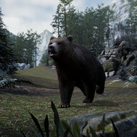 Bear Valley