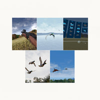 Wing Shooting Scenario Bundle