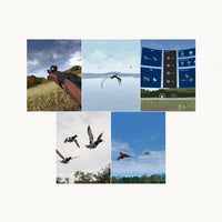 A collage of screenshots showing a virtual hunting or birdwatching simulation game, featuring outdoor scenes, birds in flight, a rifle, UI screens, and game controls, arranged in a grid on a light gray background.