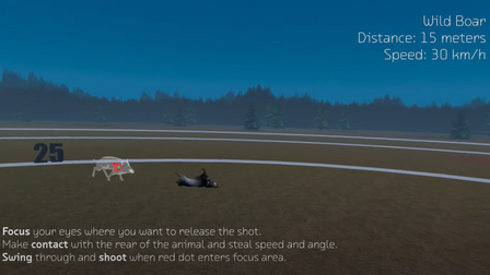 How to Shoot with a Red Dot