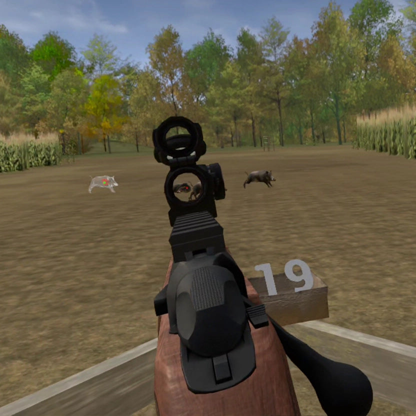 Wild Boar Corn Field
