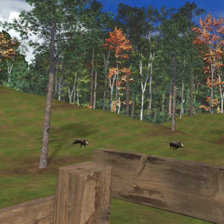 Wild Boar Hilly Forest