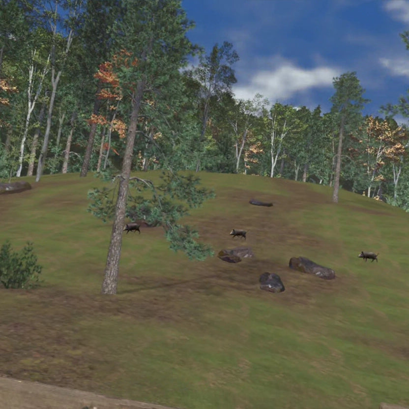 Wild Boar Hilly Forest