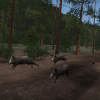 Wild Boar Hunting Lane