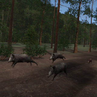 Wild Boar Hunting Lane