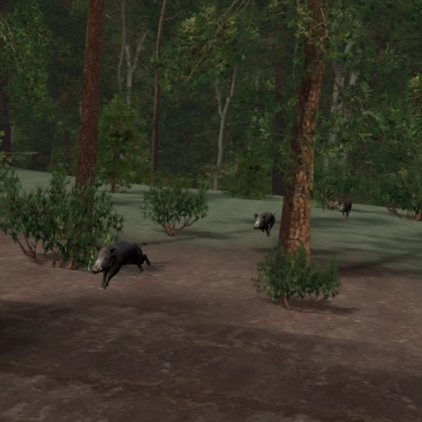 Wild Boar Hunting Lane