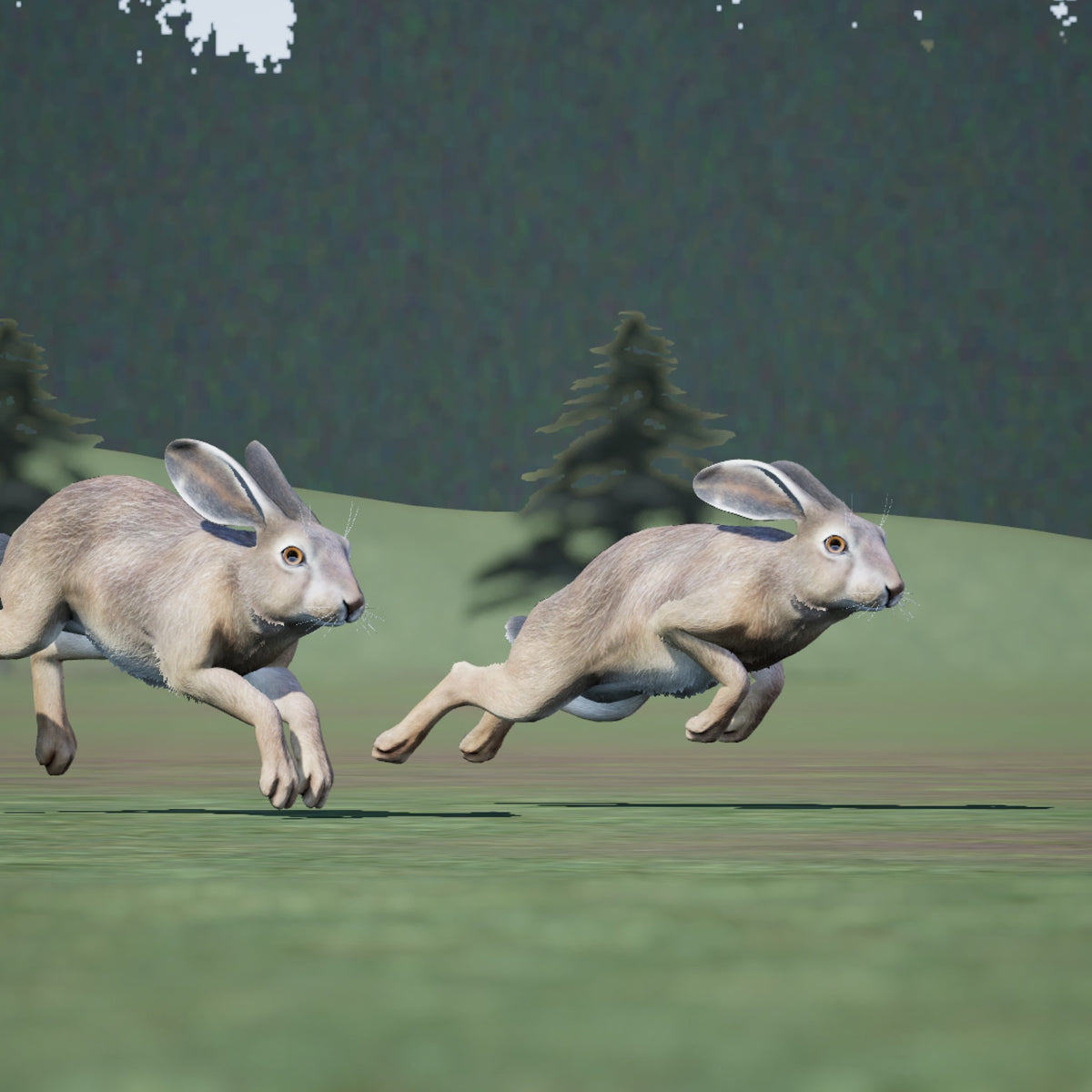 SimPro® Rough Shooting