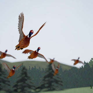 SimPro® Rough Shooting