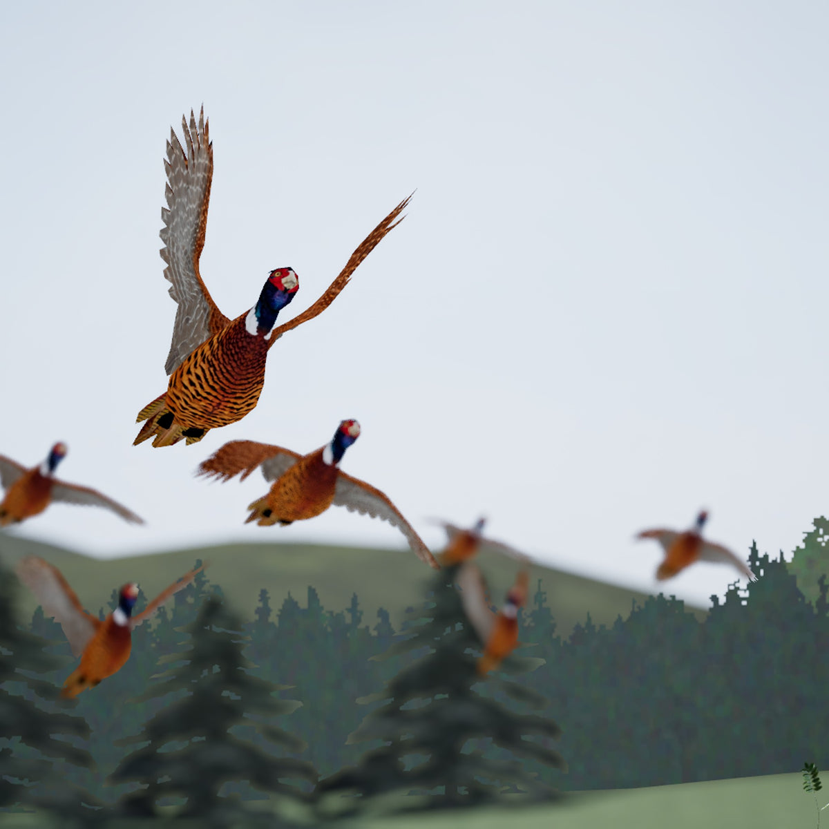 SimPro® Rough Shooting