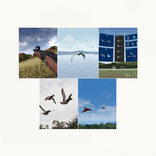 A collage of screenshots showing a virtual hunting or birdwatching simulation game, featuring outdoor scenes, birds in flight, a rifle, UI screens, and game controls, arranged in a grid on a light gray background.